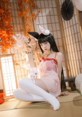 免费观看全集完整版_DVD高清迅雷在线观看